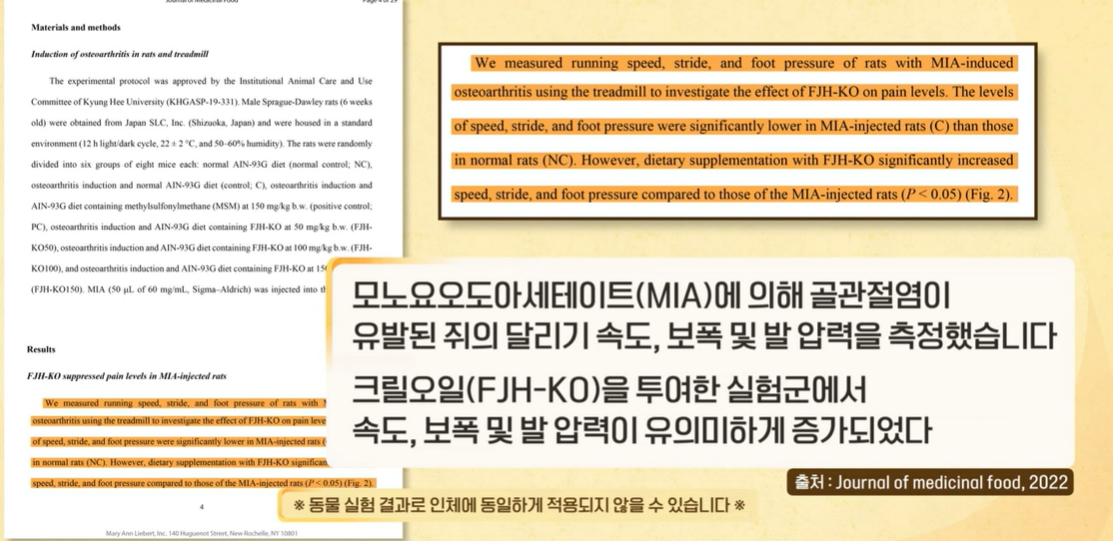 크릴오일 효능