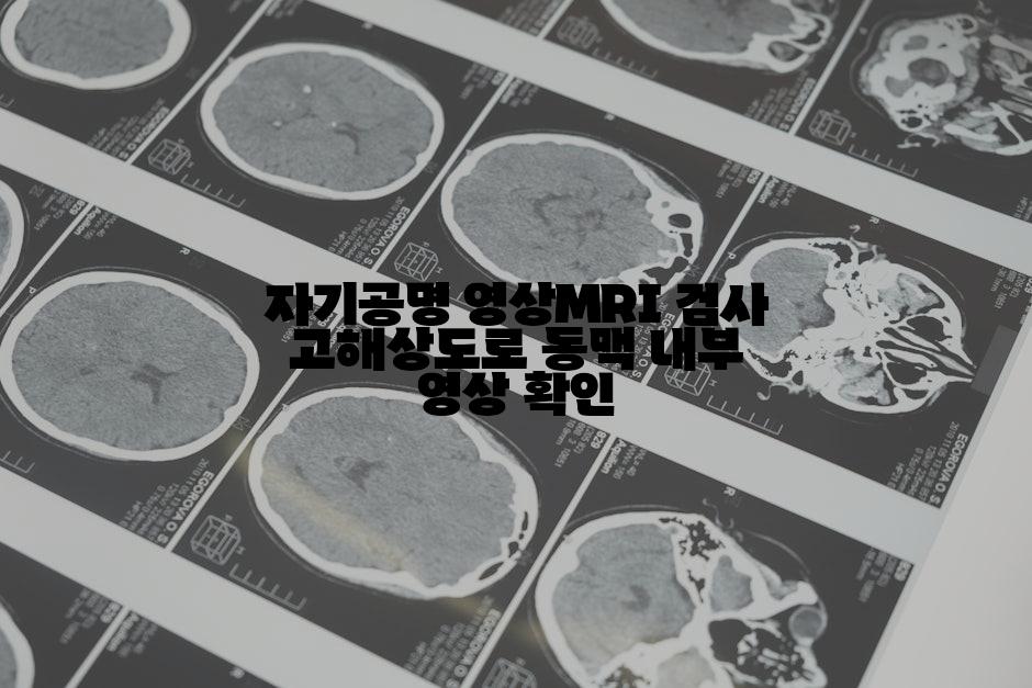 자기공명 영상MRI 검사 고해상도로 동맥 내부 영상 확인
