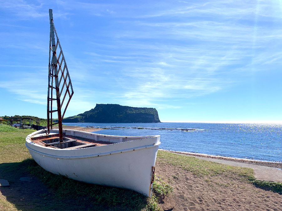 호랑호랑카페 밖에서 본 풍광