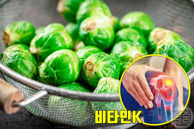 무릎 연골재생 음식 방울양배추 무릎연골에 좋은 음식