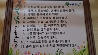 쑥뜸 효과 BEST 5 : 반드시 알아야 할 효능과 부작용 총정리