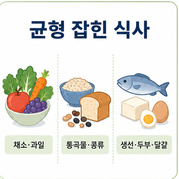채소와 과일, 통곡물과 콩류, 생선과 두부, 달걀로 구성한 균형 잡힌 식사