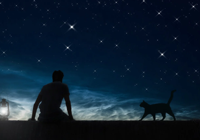 감정 회복을 위한 OST &amp; 따뜻한 단편 애니 &amp; 여름밤 배경 애니 추천