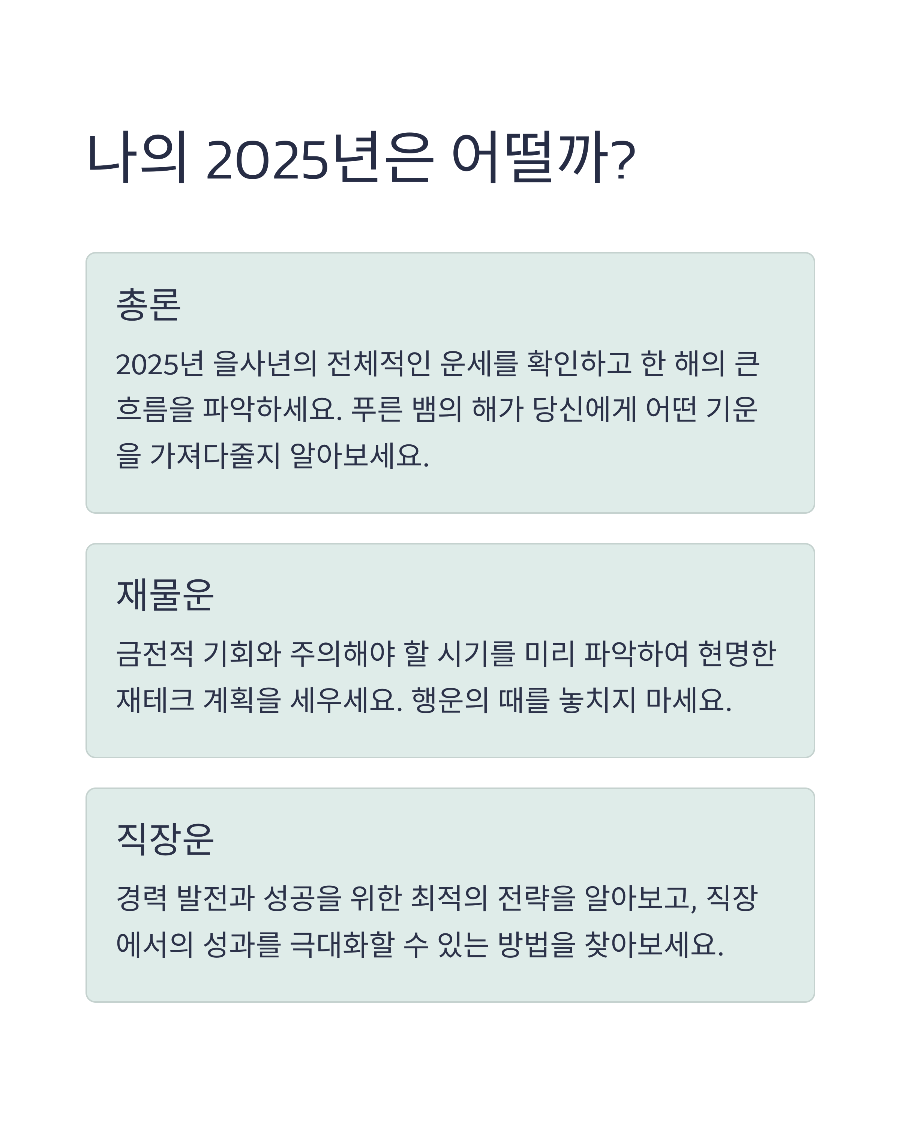 신한생명 2025 신토정비결&amp;#44; 월별 운세와 재물운 한눈에 보기