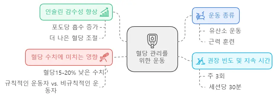 혈당관리를 위한 운동