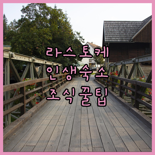 라스토케 인근 평점 높은 숙소 추천과..