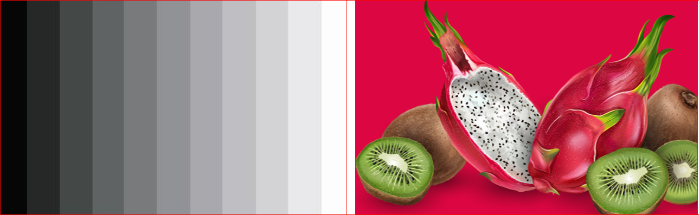 오버레이(overlay)