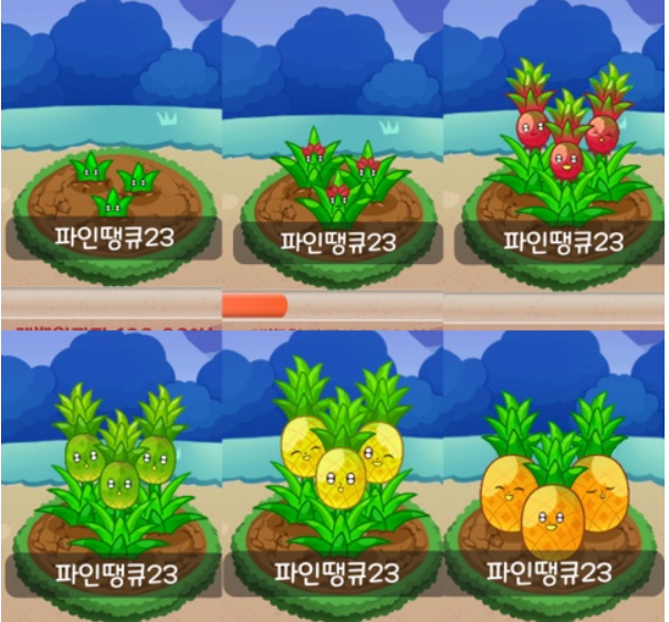 앱테크 추천) 올팜 작물 별 수확 후기 및 하는법, 꿀팁까지