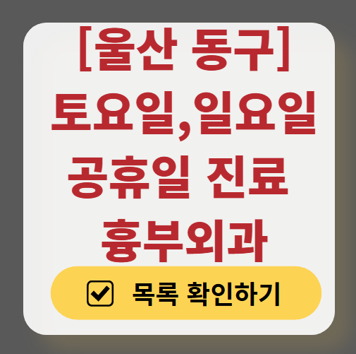 울산 동구 주말 토요일 일요일 흉부외과 진료 병원 목록 ❘ 공휴일 진료 영업 병원 리스트 찾기