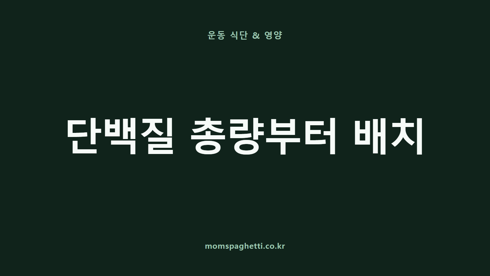 단백질 총량부터 배치 문구가 표시된 운동&middot;건강 콘텐츠 썸네일