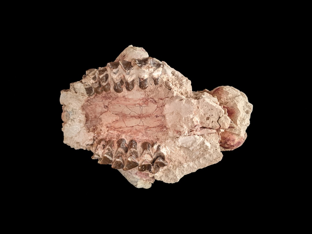 Bone.