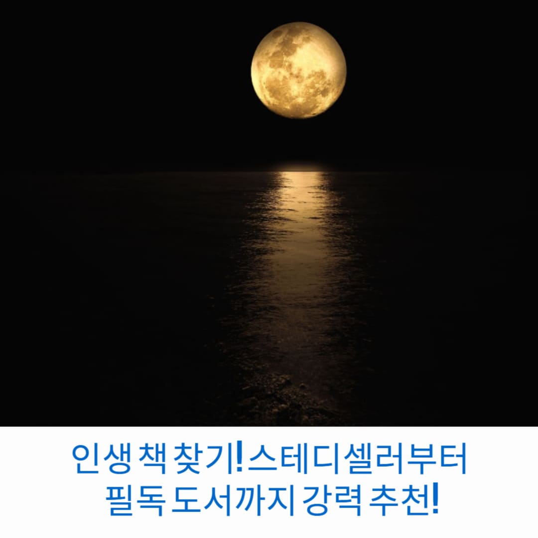 인생-책-찾기-스테디셀러부터-필독-도서까지-강력-추천-썸네일