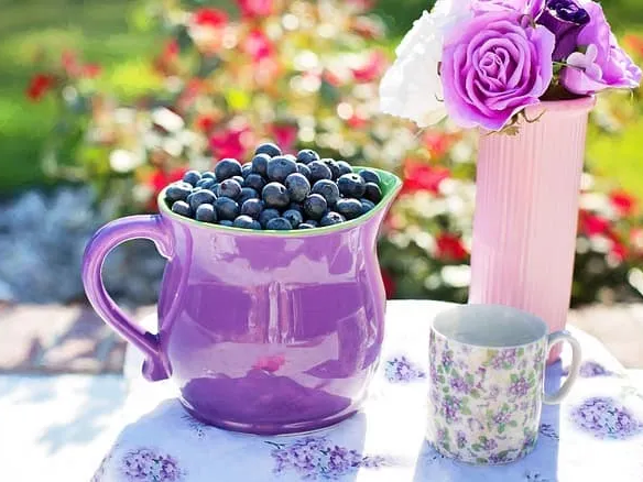 안토시아닌이 들어가 있는 냉동 블루베리