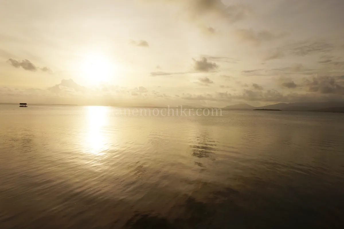 도스팔마스-리조트-노을