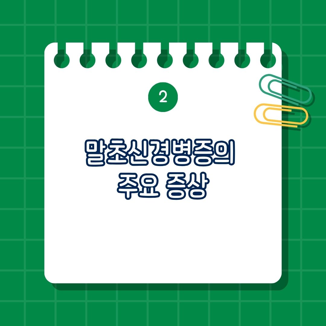 말초신경병증의 주요 증상, 감각신경 증상, 저림, 화끈거림, 통증, 감각 저하, 이질통, 야간 통증, 운동신경 증상, 근력 저하, 근위축, 근육 경련, 쥐남, 미세한 움직임 어려움, 자율신경 증상, 기립성 저혈압, 땀 분비 이상, 소화 장애, 방광 및 성기능 장애, 심박수 이상