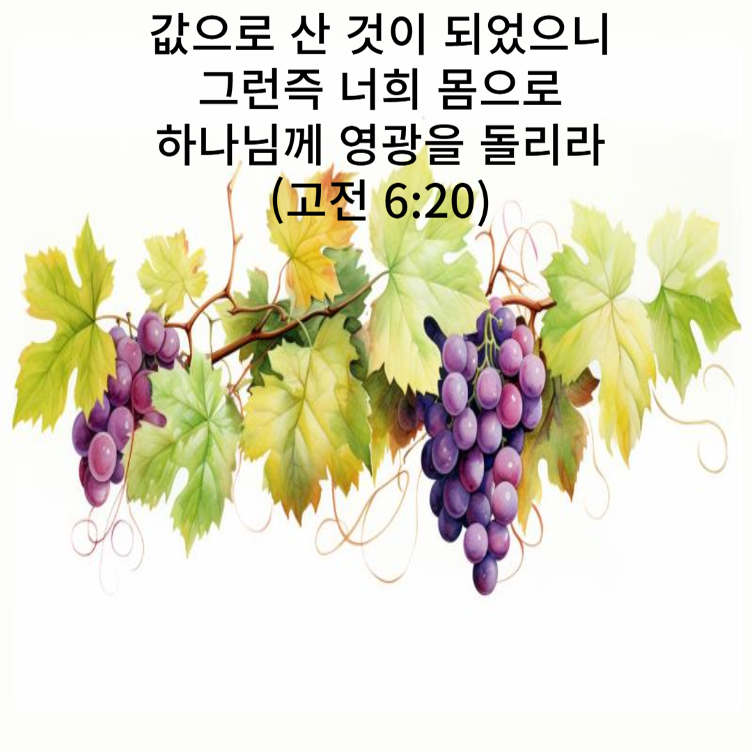 고전 6:20