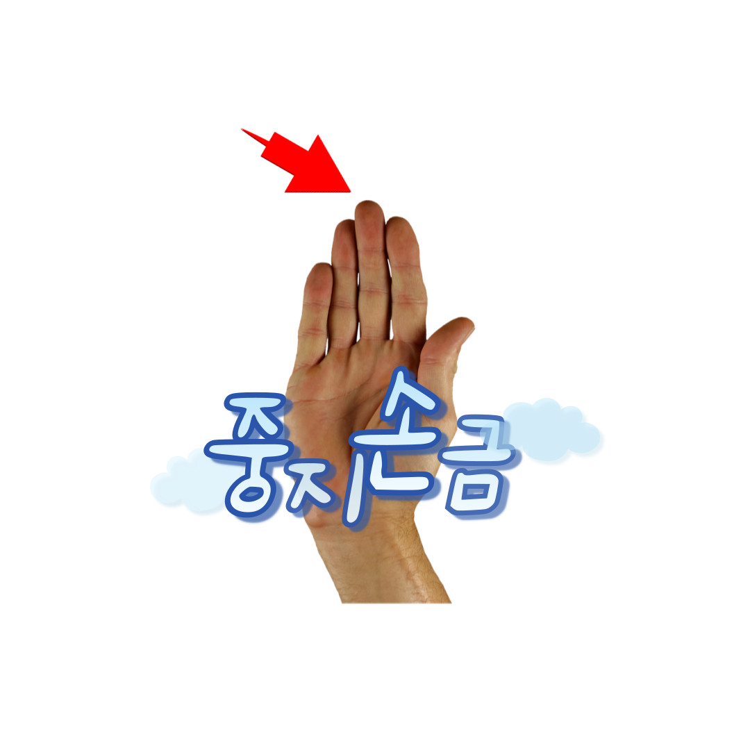 중지-손금-운세