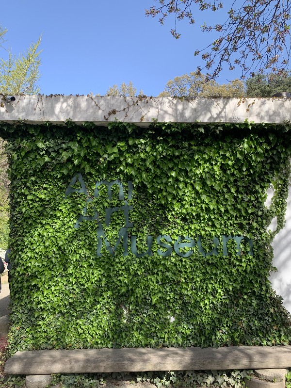 교실입면의 넝쿨