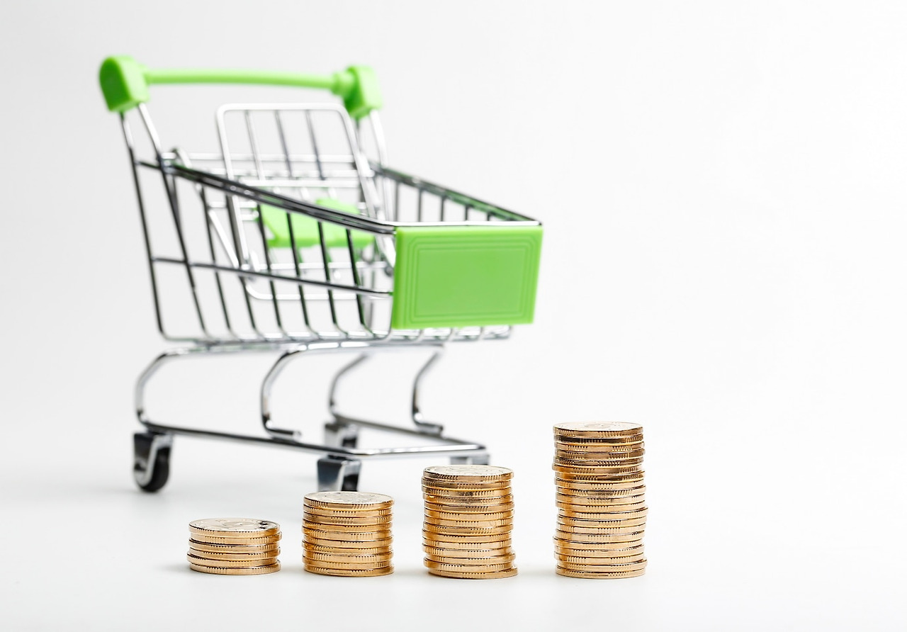 인플레이션 억제 방법