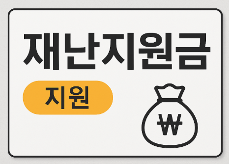 재난지원금 총정리: 신청방법부터 활용까지 완벽 가이드