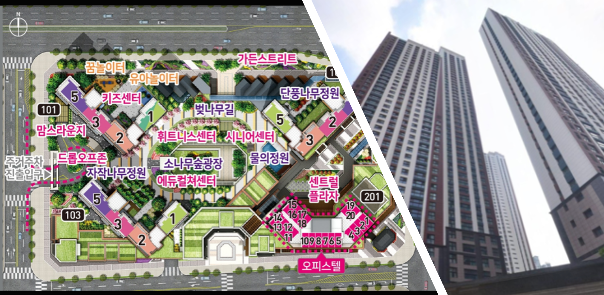 예미지시그너스 줍줍