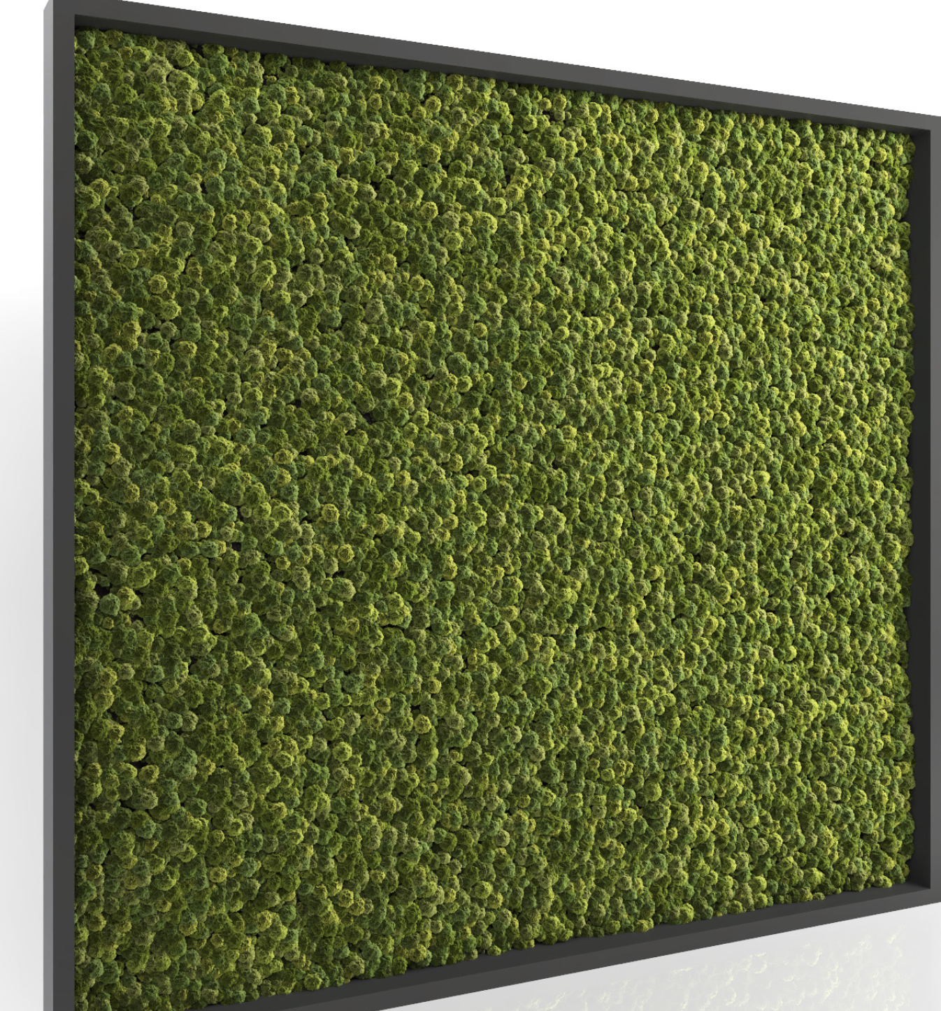 벽 이끼 테라리움