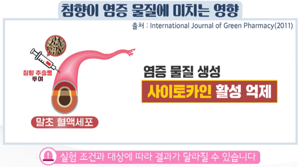 침향환 효능
