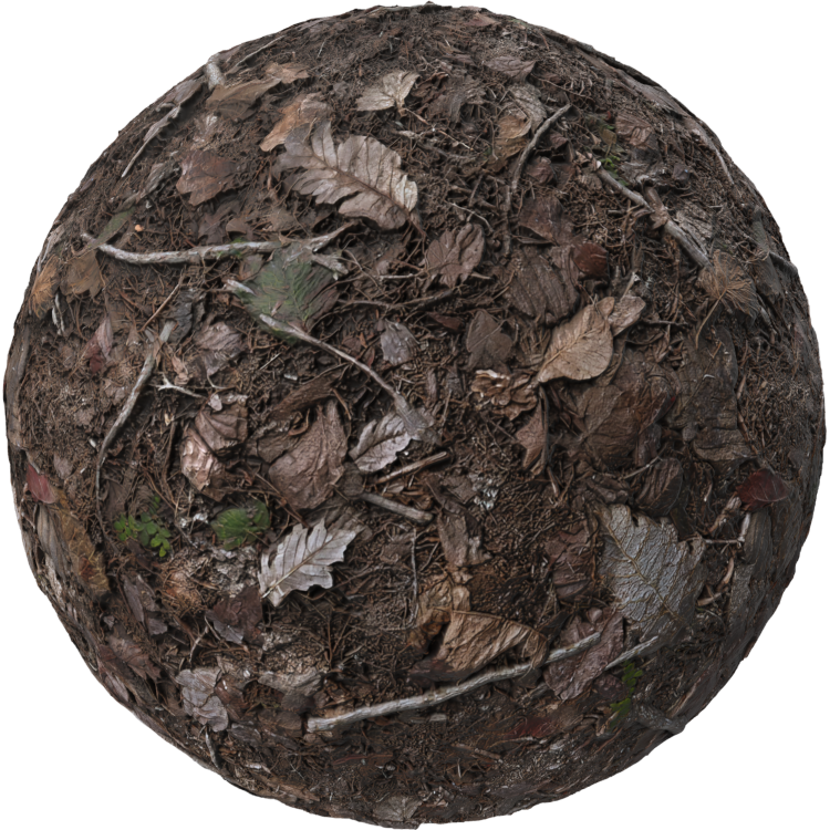 natural woodland debris texture