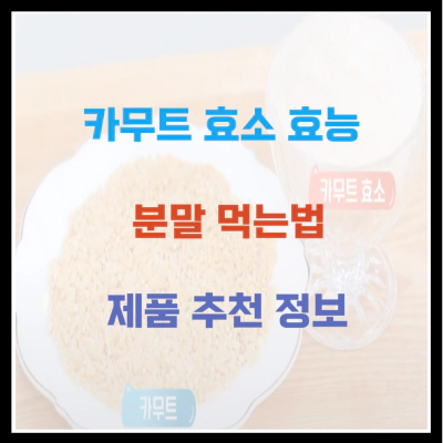 카무트 효소 효능 분말 먹는법 제품 추천 정보