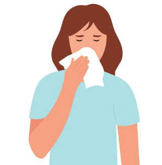 비염 증상, 뿌리를 뽑으려면, 치료방법 총정리 (2024ver)