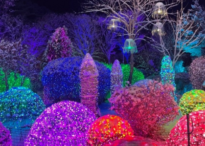 365일 빛축제 가을에 꼭 가봐야할 빛축제 BEST 5