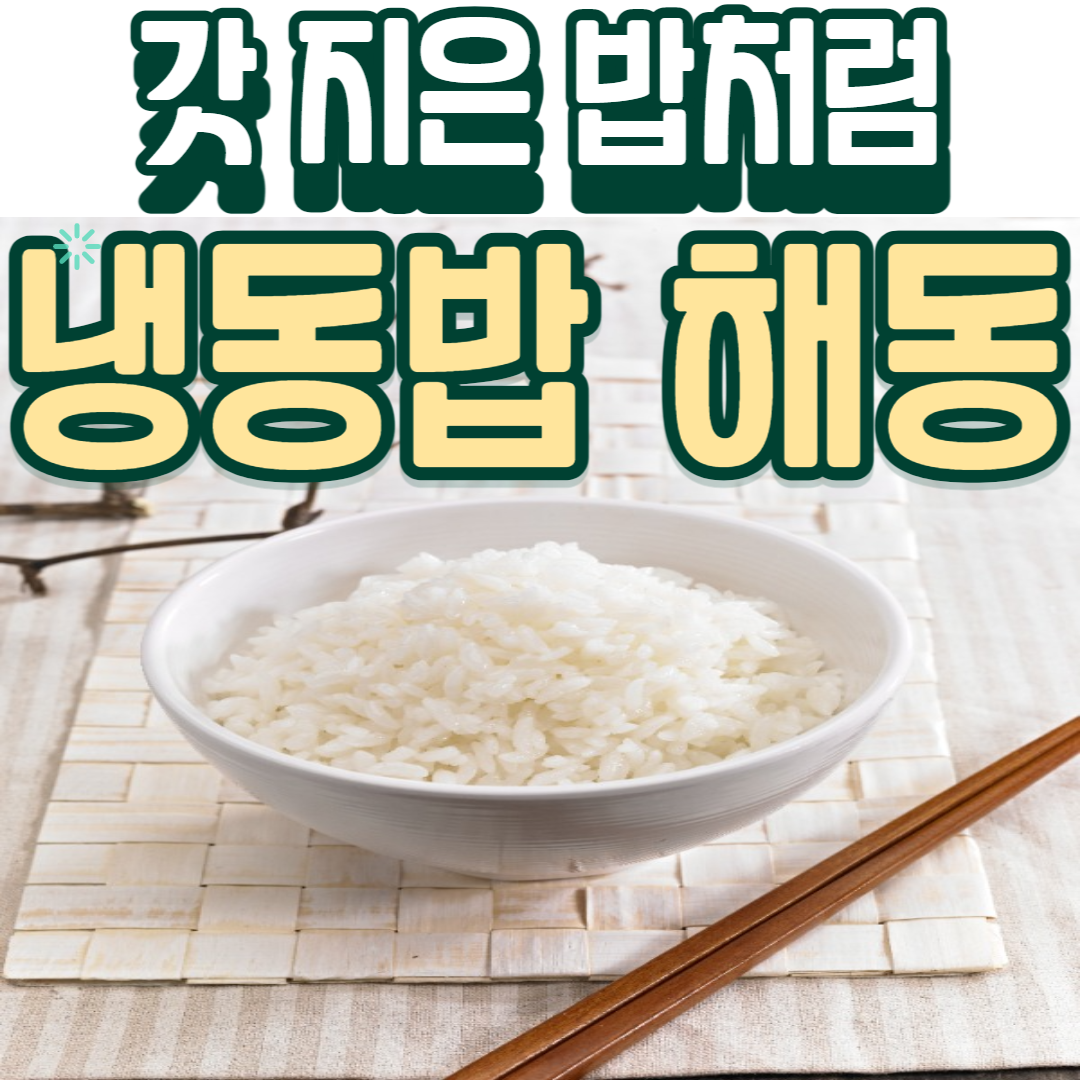 냉동밥해동