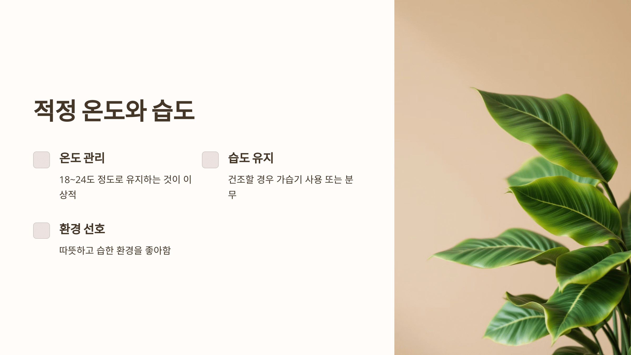 고무나무와 관련된 사진입니다.