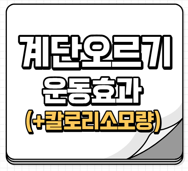 계단오르기 운동효과
