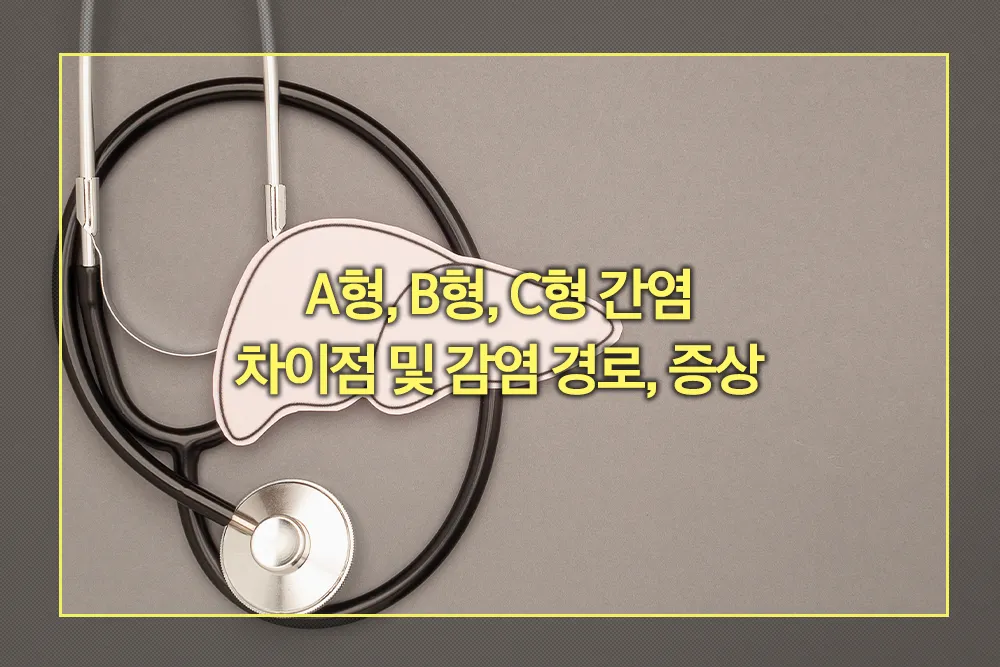 A형, B형, C형 간염 차이점 감염 경로 증상