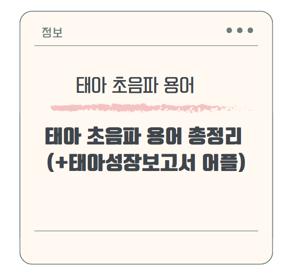 임신 초기 꼭 알아야 할 태아 초음파 용어 총정리