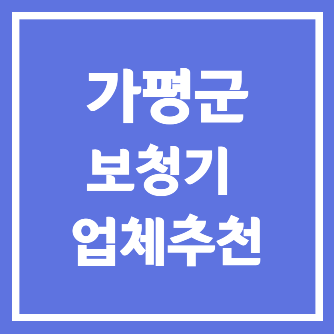 경기도 가평군 보청기 업체 추천 5곳 ❘ 지원금 ❘ 잘하는 곳 ❘ 무료체험 ❘ 가격 비교