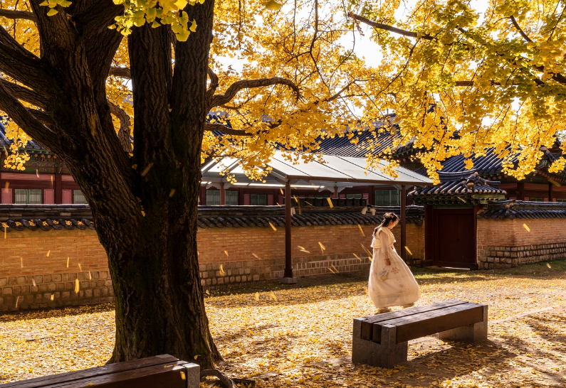 경복궁 배경으로 한복입은 여상 사진