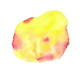 췌장암 초기 증상