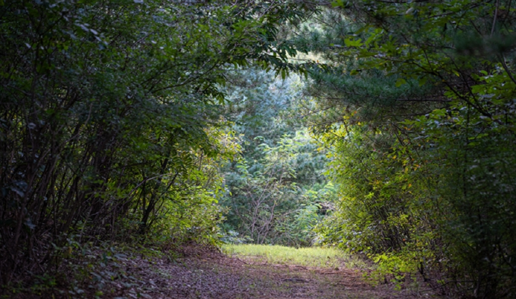 불곡산 등산코스