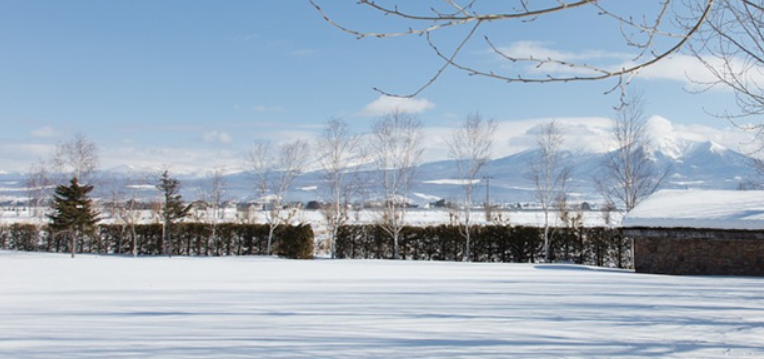 겨울 여행지 추천