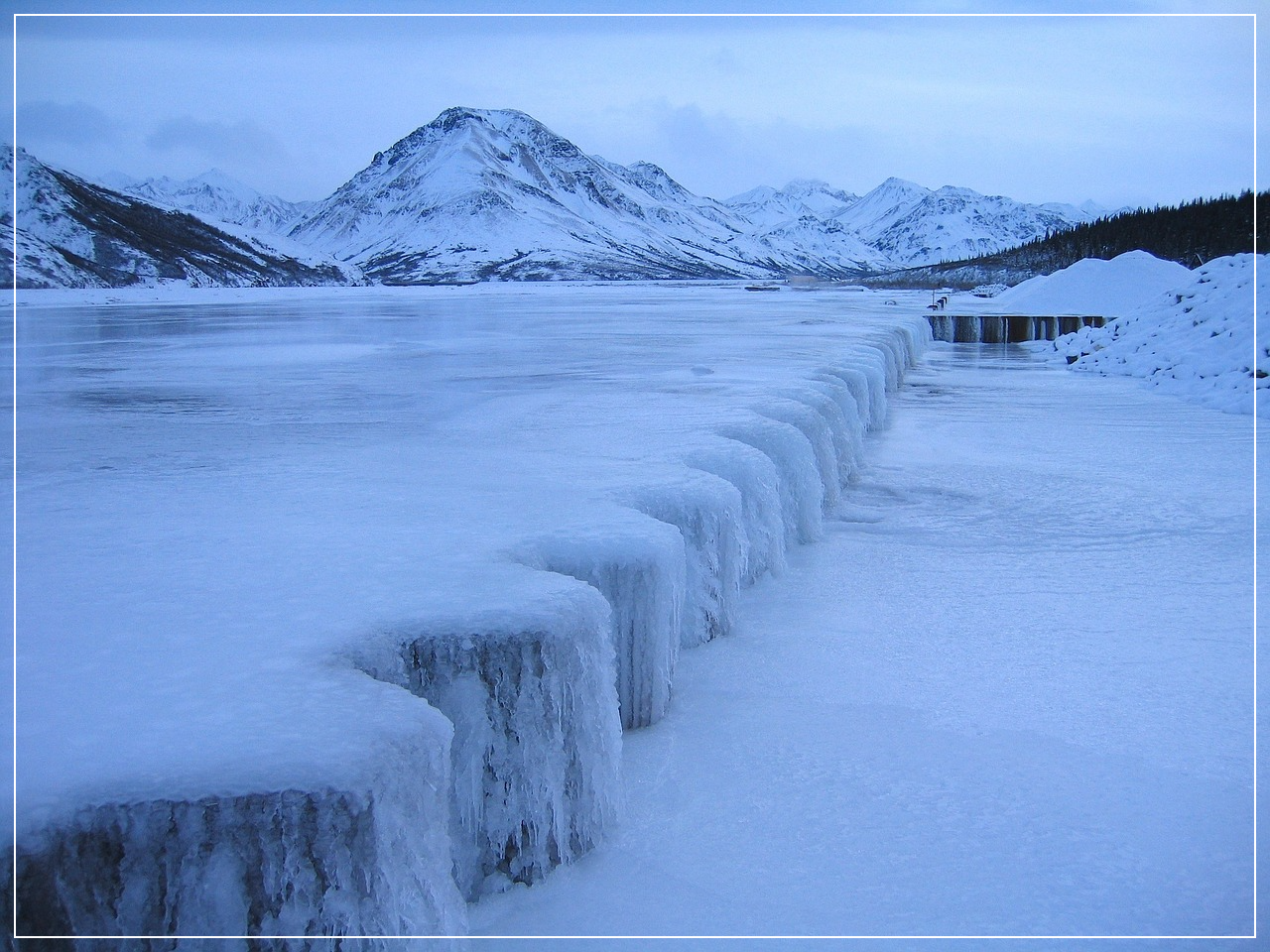 알래스카데날리