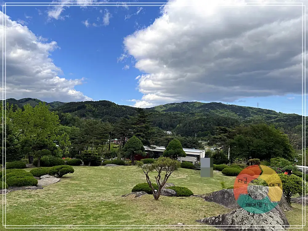 어흘_숲뷰-산-언덕-건물-잔듸