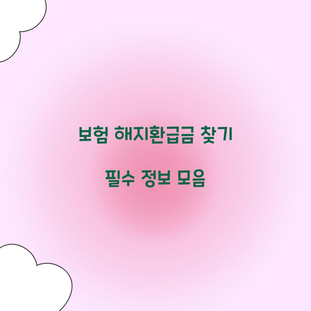 보험 해지환급금 찾기