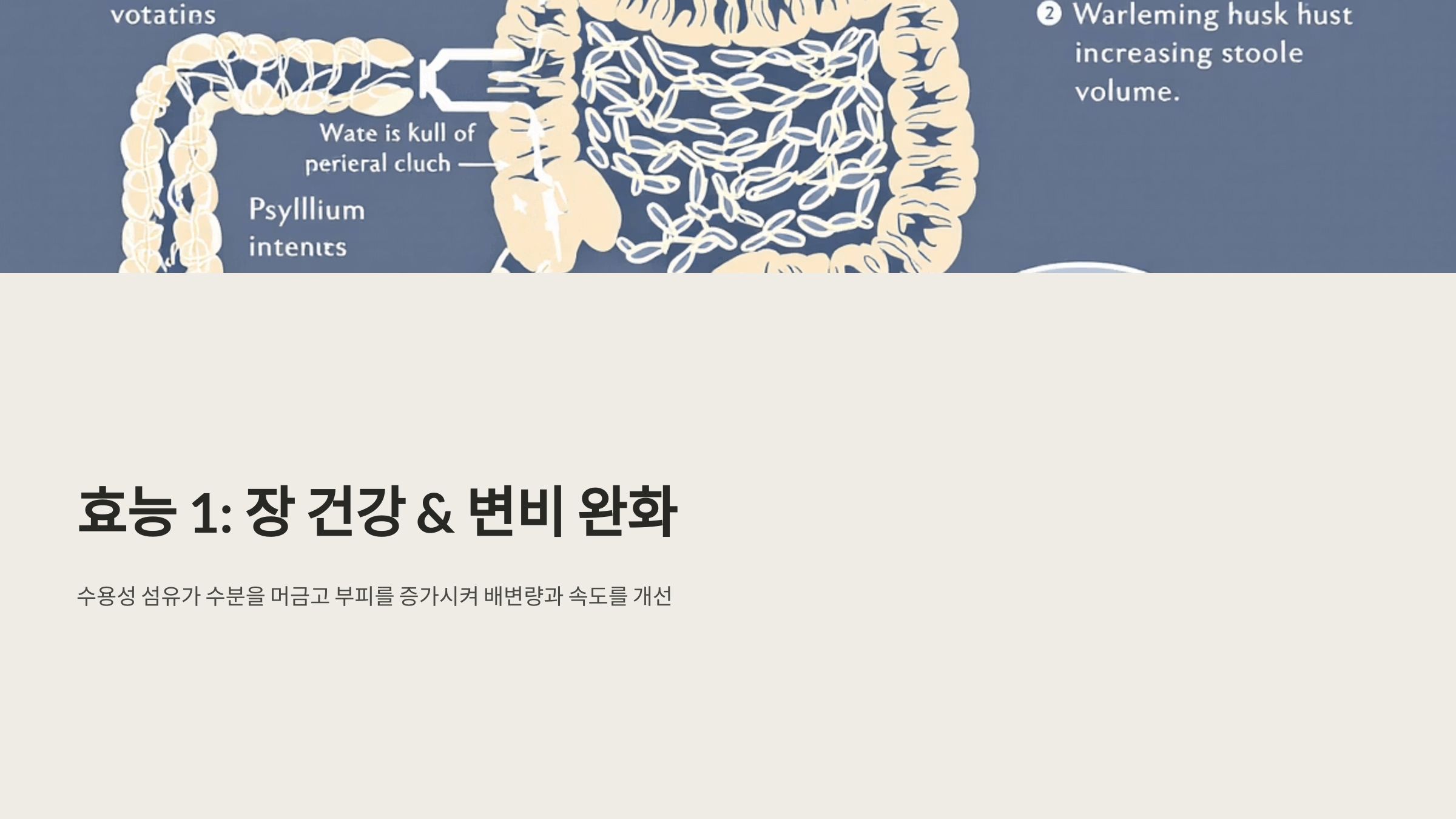 차전자피 사진입니다.