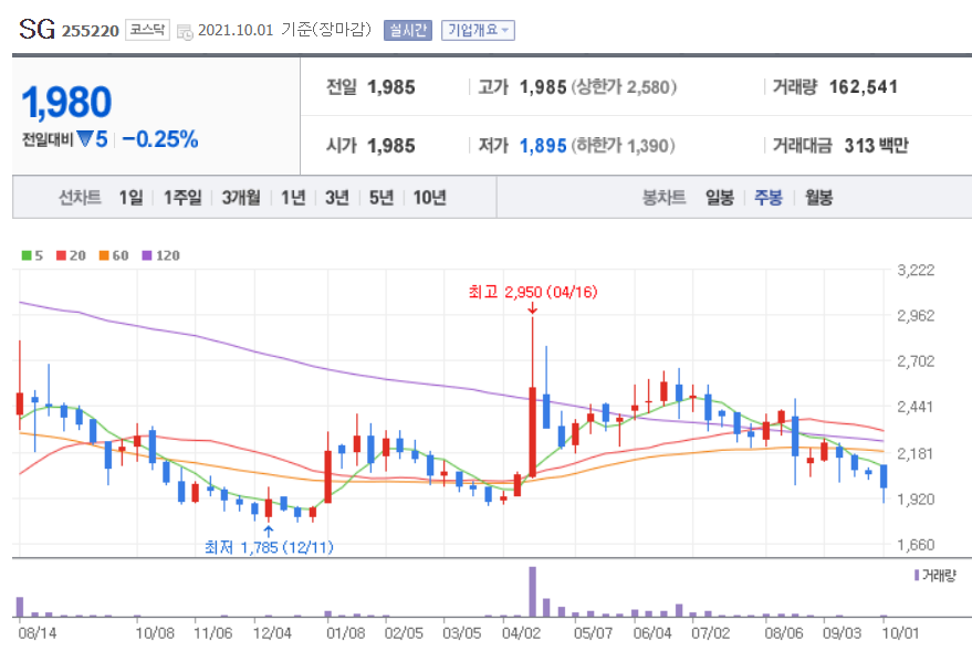 시멘트 관련주 대장주