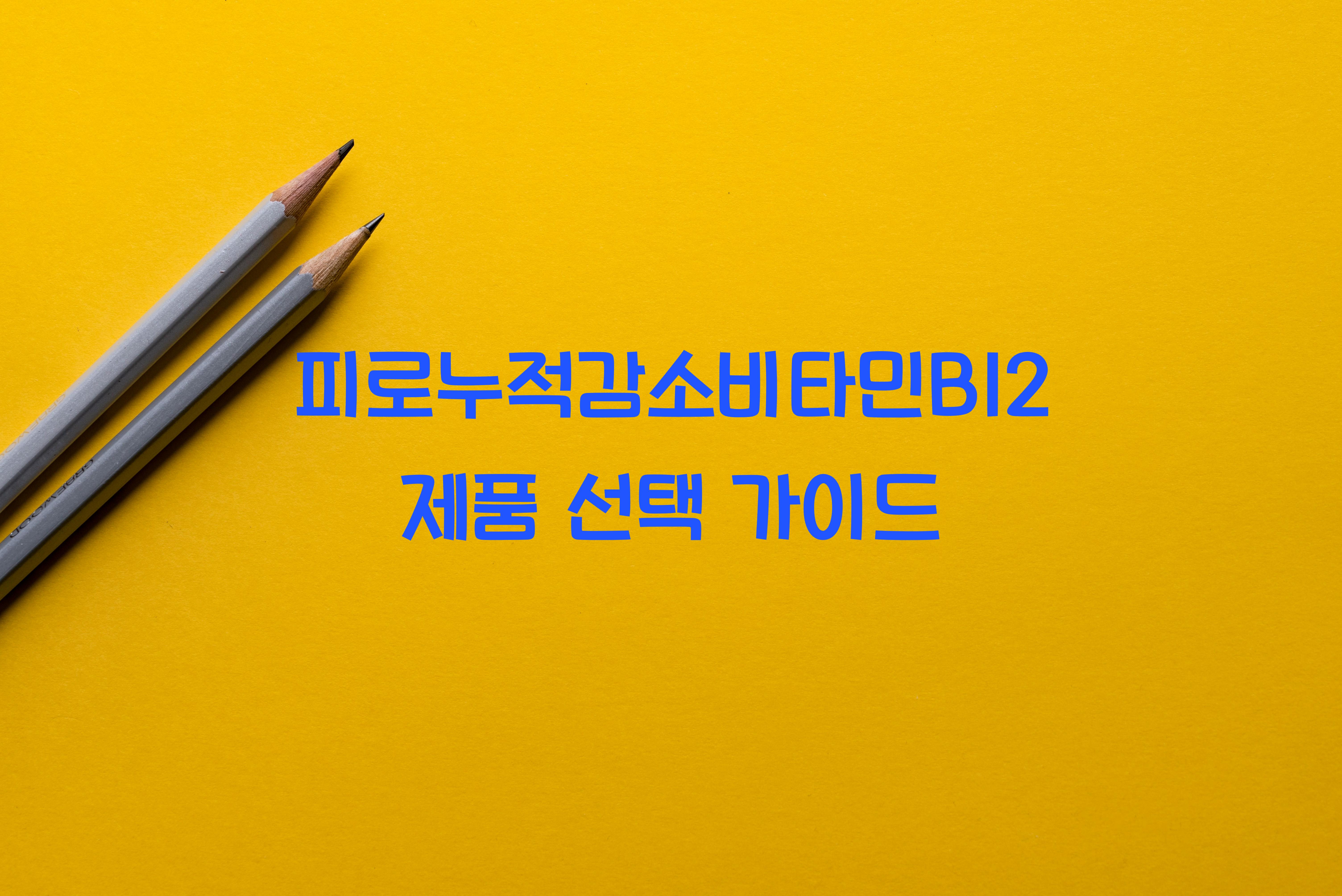 피로누적감소비타민B12제품