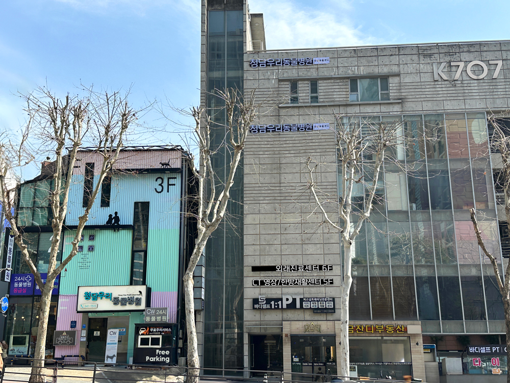 24시청담우리동물병원