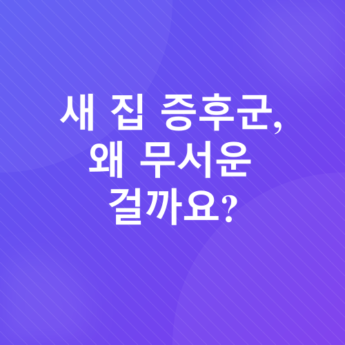 새집증후군 제거_1