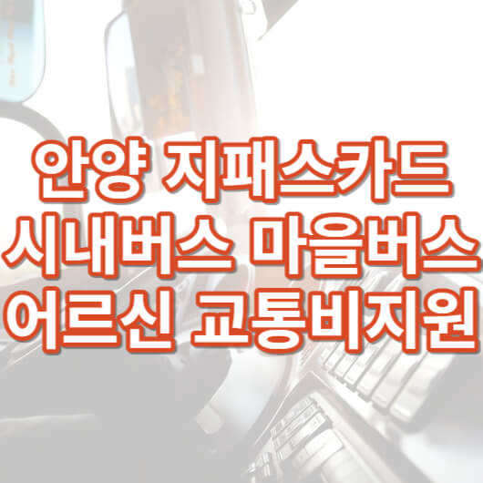안양시-어르신-교통비-지원사업